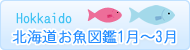 北海道お魚図鑑1月～3月